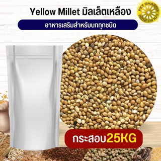 Yellow Millet มิลเล็ตเหลือง อาหารนก กระต่าย หนู กระต่าย กระรอก ชูก้า และสัตว์ฟันแทะ สะอาดได้คุณภาพ (กระสอบ 25KG)