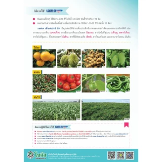 เอสเค เอ็นสเปรย์ 99 -ปิโตรเลียมออยล์ 83.9% W/V EC -คุมไข่ คุมตัวอ่อน ลดการระบาดของแมลงศัตรู - ขนาดบรรจุ 1 ลิตร