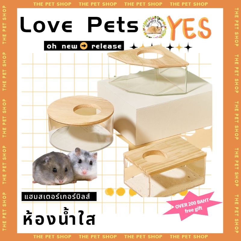hamster travel หนูแฮมสเตอร์อาบน้ำอ่างทรายอุปกรณ์ครบครันห้องอาบน้ํา คริลิค เต็มโปร่งใสหมีสีทองขนาดใหญ่ห้องน้ําอาบน้ําYSP