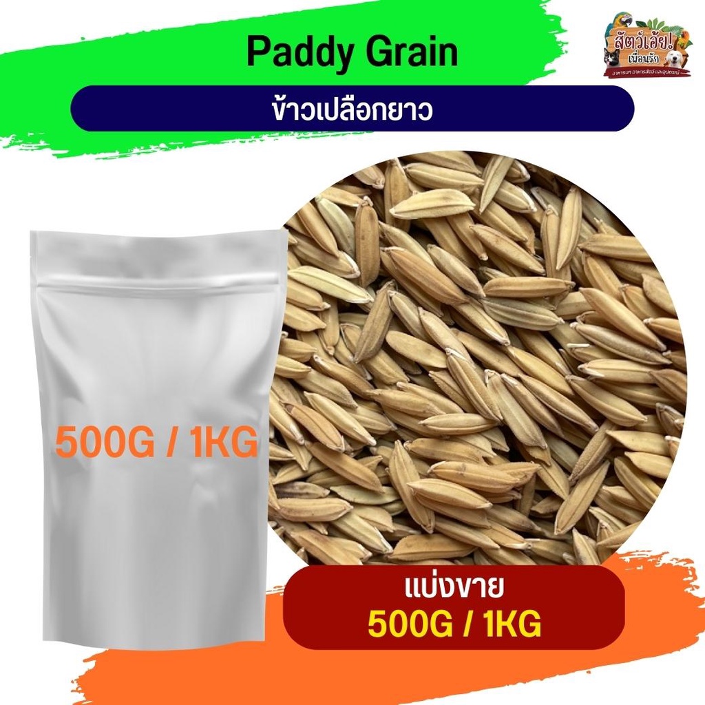Paddy rice ข้าวเปลือกยาว  อาหารนกและสัตว์ฟันแทะ (แบ่งขาย 500G / 1KG)
