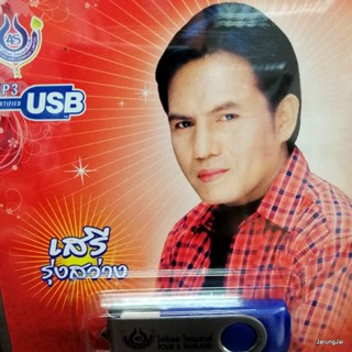 usb เสรี รุ่งสว่าง อมตะเงินล้าน รอยแผลเป็น กำแพงเงิน ไพรอำพราง mp3 usb 4s