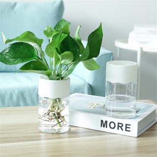 Flower Pot Self-Watering 14cm*7cm Breathable Corrosion Free Decor Hydroponic