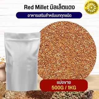 Red Millet มิลเล็ตแดง อาหารนก กระต่าย หนู กระต่าย ชูก้า และสัตว์ฟันแทะ สะอาดได้คุณภาพ (แบ่งขาย 500G / 1KG)