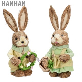 Hanhan Easter home garden decoration party supplies