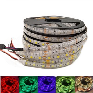 แถบไฟ Led RGB DC5V 12V 24V 60 ดวง ต่อม. 5050 5 ม. 300 ดวง กันน้ํา ยืดหยุ่น สําหรับทีวี 5 เมตร