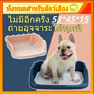 【ขนาดใหญ่ที่สุด】2ชั้น ห้องน้ำหมาขอบสี่เหลี่ยม ห้องน้ำสุนัข ถาดฉี่สุนัข มีตะแกรงรองถาด ทำความสะอาดง่าย ถาดรองฉี่สุนัข