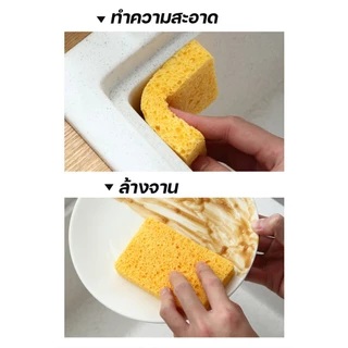 ฟองน้ำล้างจานคุณภาพสูง ทำจากเยื่อไม้ หนา 2 ซม. ไม่สะสมเชื้อโรค ทำความสะอาดง่าย