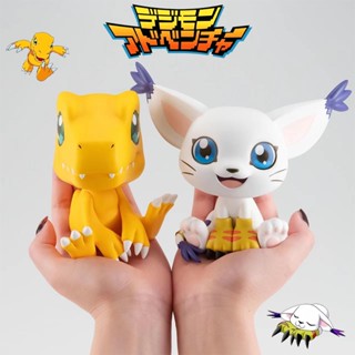 โมเดลฟิกเกอร์ อนิเมะ Digimon Gabumon Agumon Tailmon ขนาด 11 ซม. ของเล่นสําหรับเด็ก