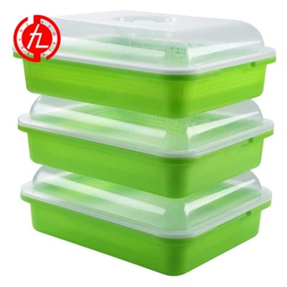 3-Pack  Sprouter Tray Soil-Free Big Capacity Healthy Wheatgrass Grower Sprouting Container Kit with Lid