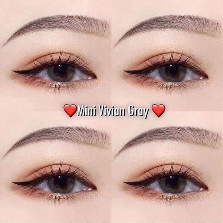 คอนแทคเลนส์ ขนาดมินิ Mini vivian (kittykawaii) สี : Brown / Gray