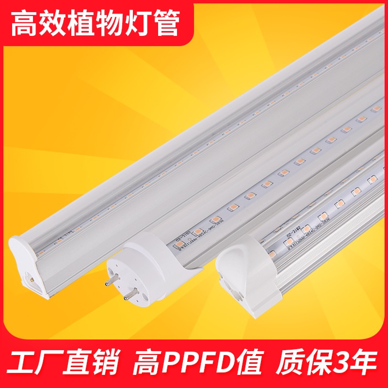 T8 พืชกลุ่มการเพาะปลูกในร่ม 40w Succulent เติมแสงในครัวเรือน led Full Spectrum Plant Growth Light Tu