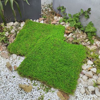 หญ้ามอสจําลอง ขนาด 50x50 ซม. สีเขียว สําหรับตกแต่งสวน ห้างสรรพสินค้า สนามหญ้าปลอม