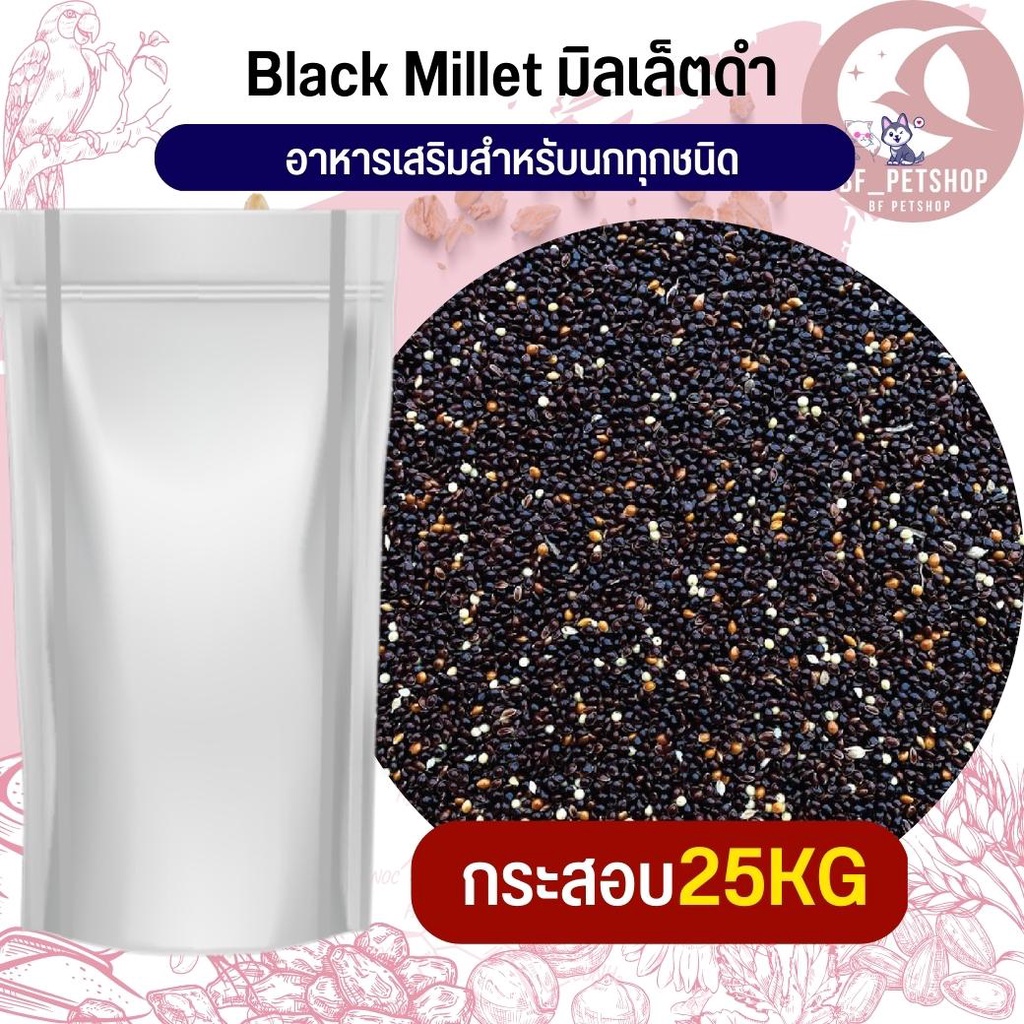 Black Millet มิลเล็ตดำ อาหารนก กระต่าย หนู กระต่าย กระรอก ชูก้า และสัตว์ฟันแทะ สินค้าใหม่ทุกกระสอบ (กระสอบ 25KG)