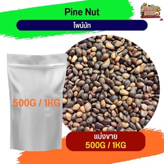 Pinenut seed ถั่ว พายนัท  ( แบ่งขาย 500G / 1KG)