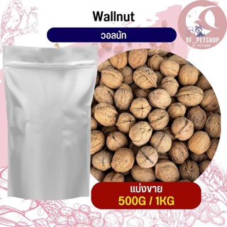 WallNut วอลนัท อาหารนก กระต่าย หนู กระต่าย กระรอก ชูก้า และสัตว์ฟันแทะ สินค้าสดใหม่ทุกชิ้น (แบ่งขาย 500G / 1KG)