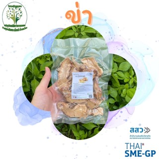 ข่าอบแห้ง ขนาด 500 กรัม สมุนไพรไทย ผักสวนครัว