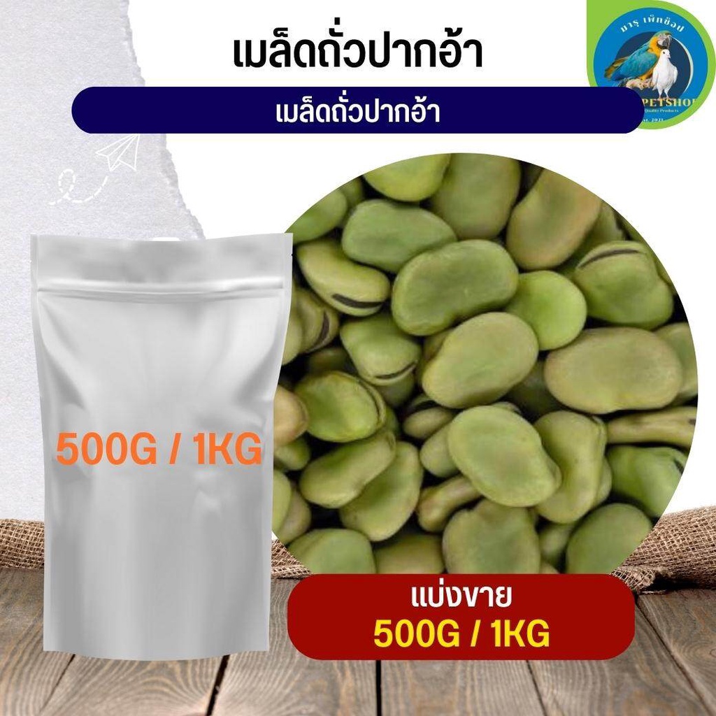 สุดยอด เมล็ดถั่วปากอ้า Broad beans อาหารนก กระต่าย หนู กระต่าย กระรอก ชูก้า และสัตว์ฟันแทะ (แบ่งขาย 500G / 1KG)