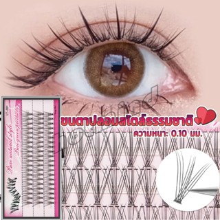 HD ขนตาปลอมแบบธรรมชาติ /8/10/11/12/14 มม. ต่อขนตาแต่ละช่อ False Eyelashes