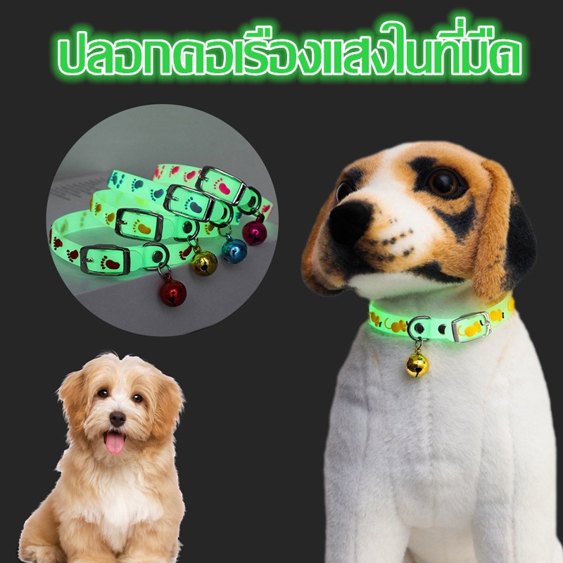 😺พร้อมส่ง🐶 ปลอกคอเรืองแสง ปลอกคอแมว ปลอกคอสุนัข เรืองแสง มีระฆังดัง ป้องกันการสูญหาย