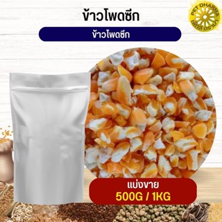 ข้าวโพดซีก corn flakes อาหารนก กระต่าย หนู  ชูก้า และสัตว์ฟันแทะ สะอาดได้คุณภาพ (แบ่งขาย 500G / 1KG)