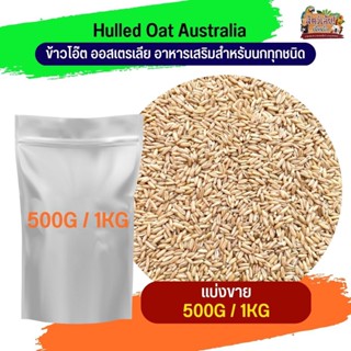 Hulled Oat Australia ข้าวโอ๊ต ออสเตรีย(แบ่งขาย 500G / 1KG)