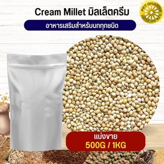 Creamy Millet มิลเล็ต ครีมมี่ อาหารนก กระต่าย หนู กระต่าย ชูก้า และสัตว์ฟันแทะ สะอาดได้คุณภาพ (แบ่งขาย 500G / 1KG)