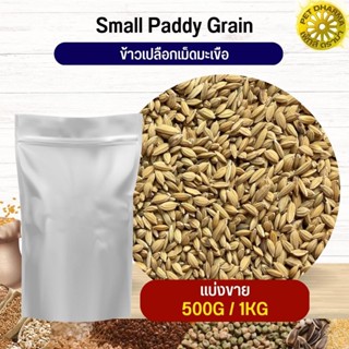 ข้าวเปลือกมะเขือ Small Paddy Grian อาหารนก กระต่าย หนู กระต่าย ชูก้า และสัตว์ฟันแทะ สะอาดได้คถณภาพ (แบ่งขาย 500G / 1KG)