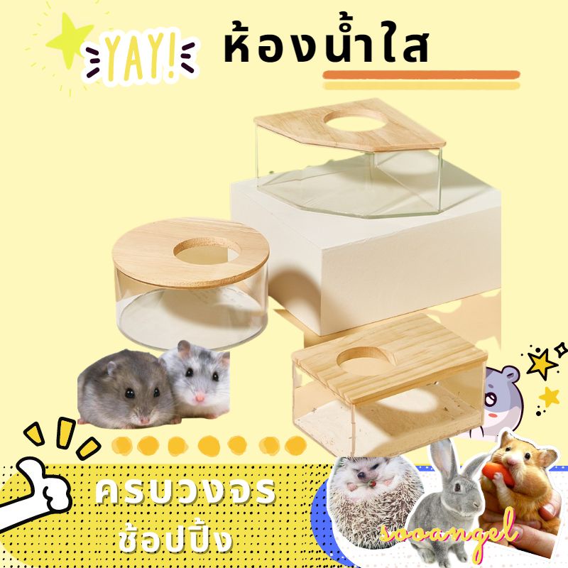 [sooangel]หนูแฮมสเตอร์อาบน้ำอ่างทรายอุปกรณ์ครบครันห้องอาบน้ํา คริลิค เต็มโปร่งใสหมีสีทองขนาดใหญ่ห้องน้ําอาบน้ํา