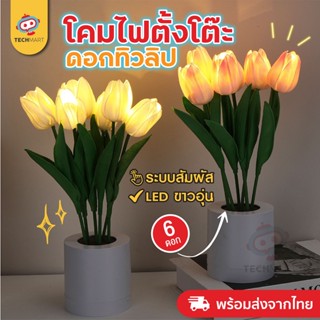 โคมไฟตั้งโต๊ะ รุ่น TULIP ดอกทิวลิป - โคมไฟตั้งโต๊ะ โคมไฟ LED โคมไฟมินิมอล ไฟตกแต่งห้อง แบบชาร์จ โคมไฟน่ารัก ดอกไม้