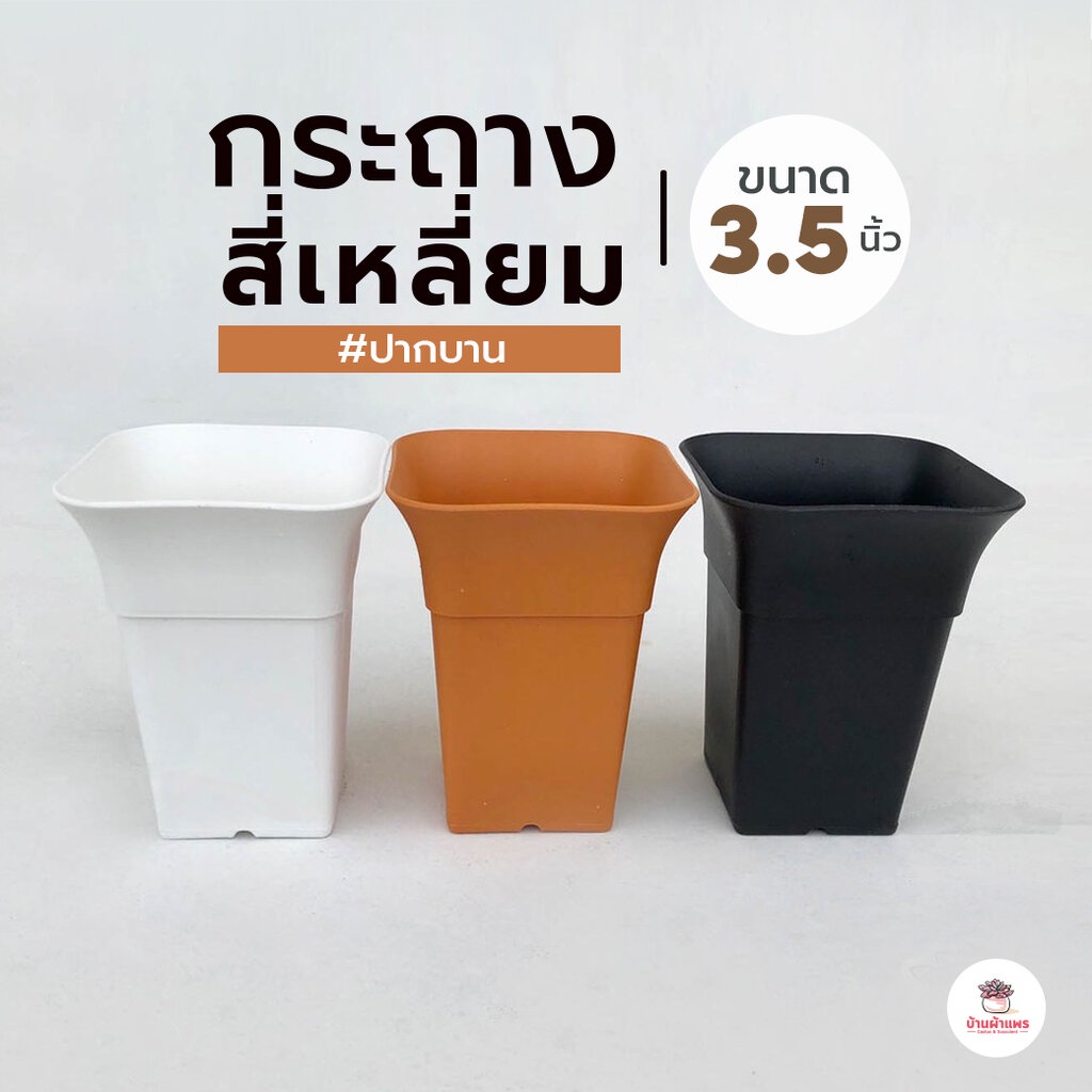 กระถางสี่เหลี่ยมปากบาน 3.5 นิ้ว กระถางพลาสติก แคคตัส กระบองเพชร ไม้อวบน้ำ Cactus&Succulent