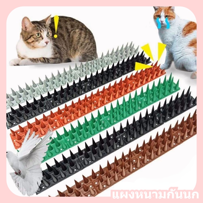 พร้อมส่ง แบบพลาสติก แผงหนามกันนก ตัดได้ อุปกรณ์เข็มพลาสติกไล่นกสําหรับแมวนก ป้องกันไฟฟ้าสถิต