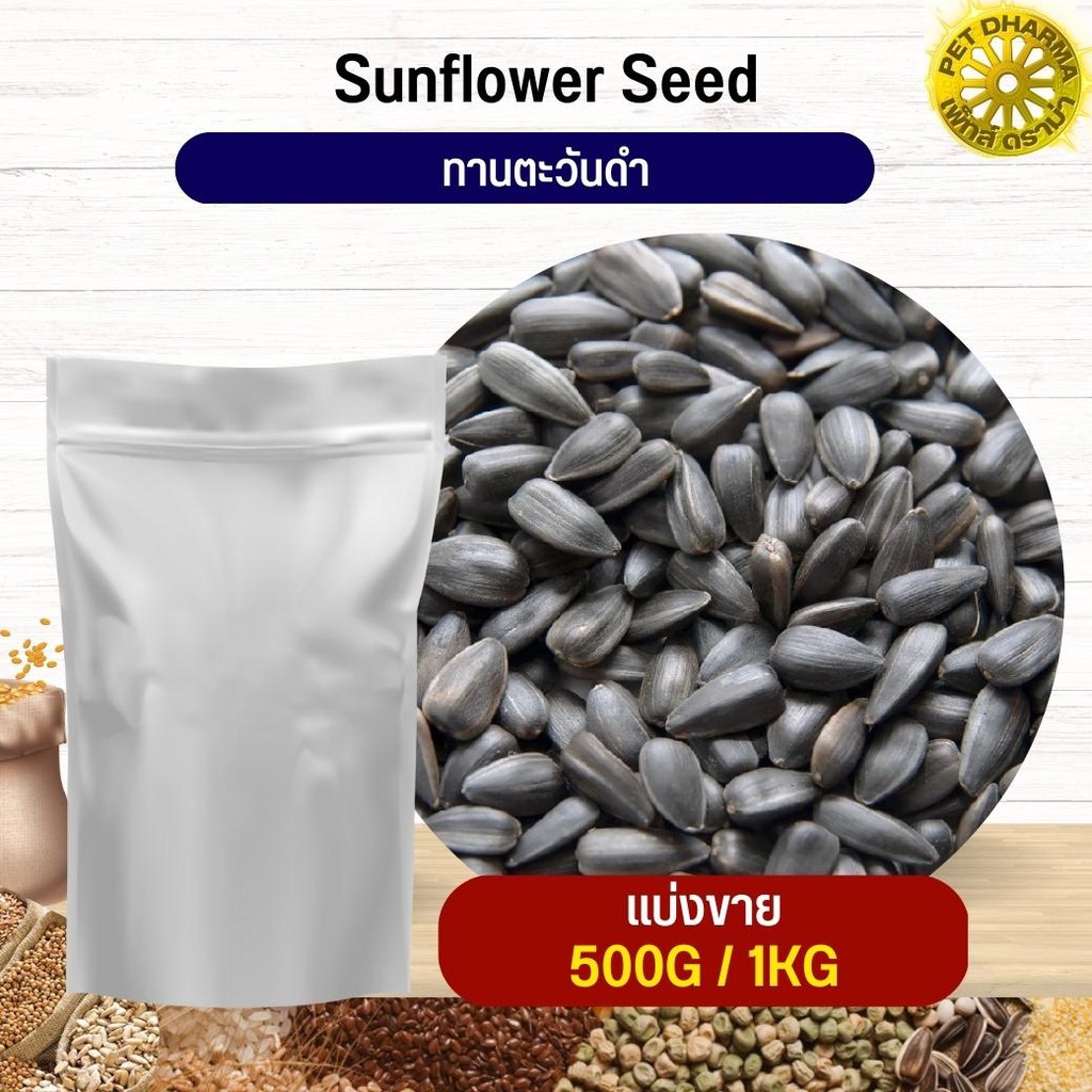 Black Sunflower ทานตะวันดำ 3เจ อาหารนก กระต่าย หนู กระต่าย ชูก้า และสัตว์ฟันแทะ สะอาดได้คุณภาพ (แบ่งขาย 500G / 1KG)