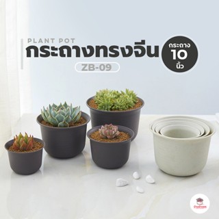 ( ZB-09 ) กระถางทรงจีน 10 นิ้ว กระถางแคคตัส กระถางกระบองเพชร กระถางไม้อวบน้ำ