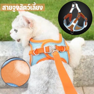 🐕พร้อมส่ง สายจูงสัตว์เลี้ยง เชือกจูงแมว สายจูงแมว ปลอกคอแมว แบบสวมใส่ง่าย มีหลายสี Colorful Reflective