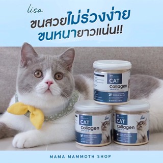 #พร้อมส่ง ผงโรยอาหารแมว Lisa Cat Collagen หยุดขนร่วง เพิ่มกล้ามเนื้อ เสริมภูมิคุ้มกัน สวนผสมจากผงไข่เต่า วิตามินบีรวม