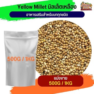 yellow millet อาหารเสริมสำหรับนกทุกชนิด (แบ่งขาย 500G / 1KG)