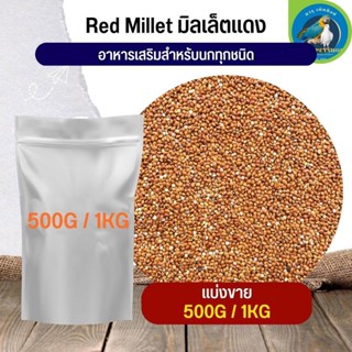 สุดยอด Red Millet มิลเล็ตแดง อาหารนก กระต่าย หนู กระต่าย กระรอก ชูก้า และสัตว์ฟันแทะ (แบ่งขาย 500G / 1KG)