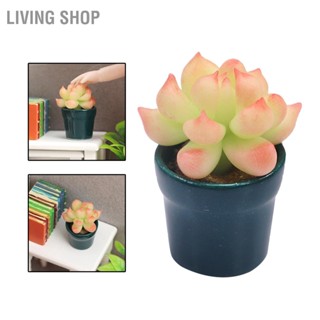 Living Shop 1:12 Scale Miniature Clay Succulent Potted สูงจำลองบ้านตุ๊กตาตกแต่ง