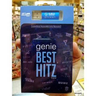 usb genie best hitz รวมเพลงร็อกสุด รวม 80 เพลง คนมีเสน่ห์ แพ้ทาง mp3 usb gmm