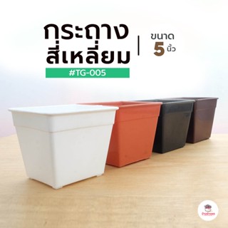 กระถางสี่เหลี่ยม 5 นิ้ว ( TG-005 ) กระถางพลาสติก กระถางแคคตัส กระถางกระบองเพชร กระถางต้นไม้