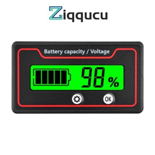 Ziqqucu เครื่องวัดความจุแบตเตอรี่ 9-120v 12v 24v 48v สําหรับบ้าน และห้องนั่งเล่น