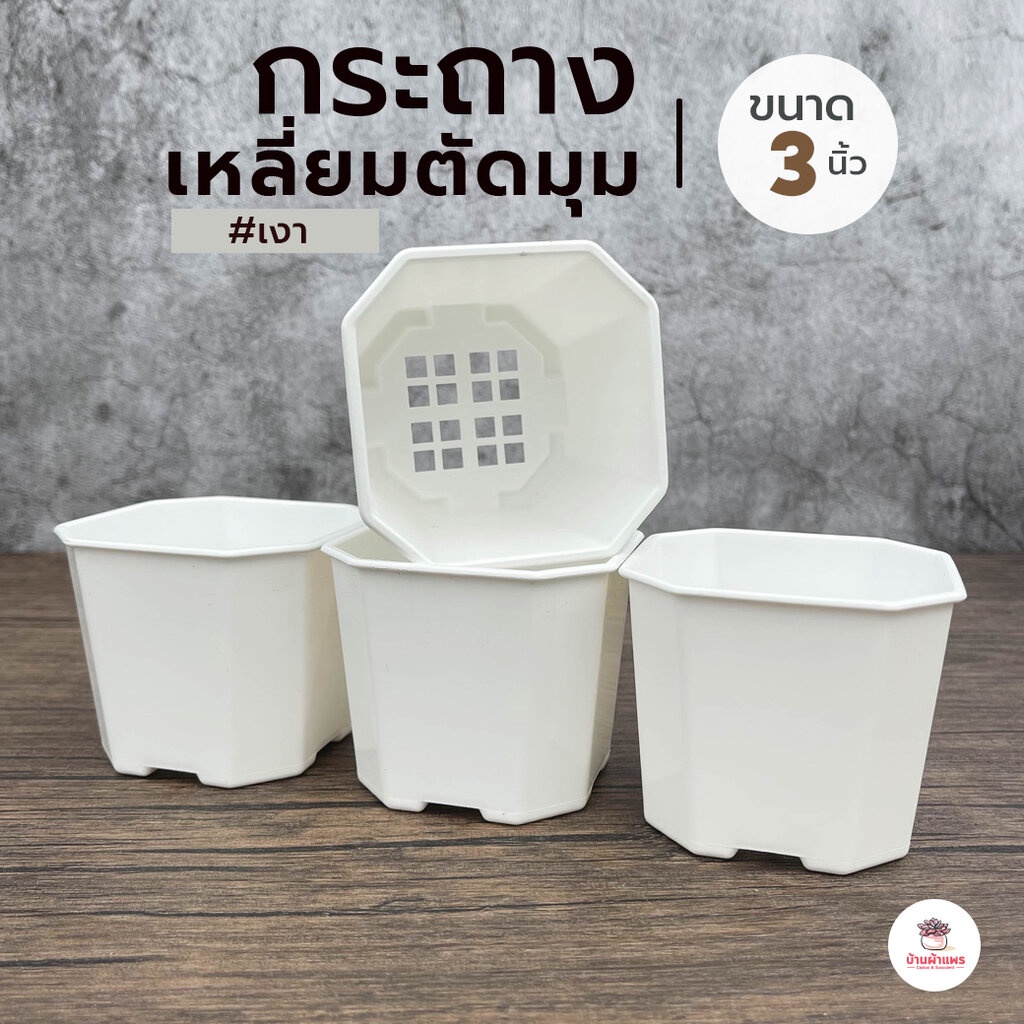 กระถางเหลี่ยมตัดมุม 3 นิ้ว #เงา กระถางพลาสติก แคคตัส กระบองเพชร ไม้อวบน้ำ Cactus&Succulent
