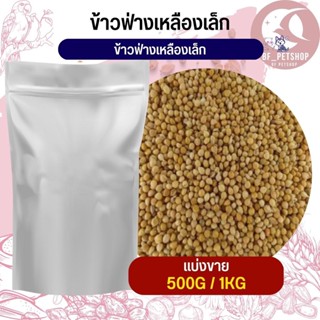 ข้าวฟ่างเหลืองเม็ดเล็ก อาหารนก ธัญพืชสำหรับนก (แบ่งขาย 500G / 1KG)