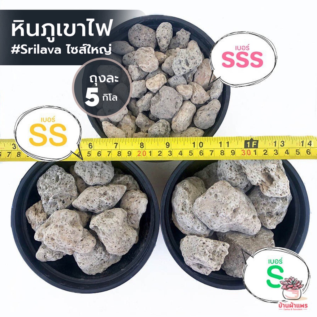 [ 5 กก. ] หินภูเขาไฟ Srilava ไซส์ใหญ่ ใช้ทำบ่อกรอง ปิ้งย่าง รองก้นกระถางไม้ใหญ่
