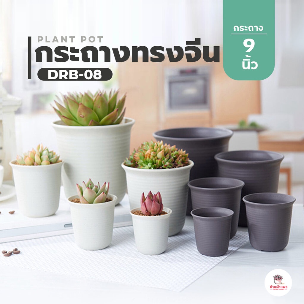 [ DRB-08 ] กระถางทรงจีน 9 นิ้ว กระถางพลาสติก แคคตัส กระบองเพชร ไม้อวบน้ำ Cactus&Succulent