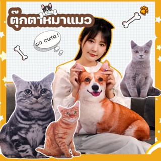 🐶พร้อมส่ง🐱ของเล่นตุ๊กตา ตุ๊กตาหมาแมว3D สร้างสรรค์ 50cm ตุ๊กตาแมว หมอนนอน น่ารักนุ่มนิ่ม