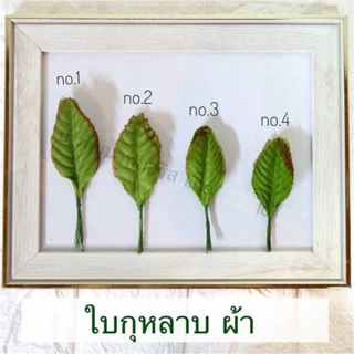 ใบกุหลาบ ห่อ 100 ใบ เบอร์ 1 - 9 (PF-D0801-0809) ใบไม้ประดิษฐ์ สำหรับงานฝีมือ (สินค้าพร้อมส่ง มีบริการเก็บเงินปลายทาง)