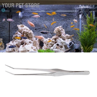 Your Pet Store แหนบคีบอาหารสัตว์เลื้อยคลาน สเตนเลส ด้ามจับยาว 9.8 นิ้ว สําหรับตู้ปลา