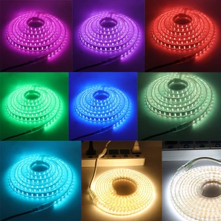 บ้านรสชาติ220โวลต์หลอดไฟLED Strip RGB บลูทู ธ IP67 ไฟ LED เทปยืดหยุ่นกันน้ำ 60led/M พร้อมปลั๊ก ไฟเส้น ไฟตกแต่งห้