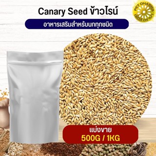 ข้าวไรน์ Canary seed อาหารนก กระต่าย หนู กระต่าย กระรอก ชูก้า สะอาดได้คุณภาพ (แบ่งขาย 500G /1KG)